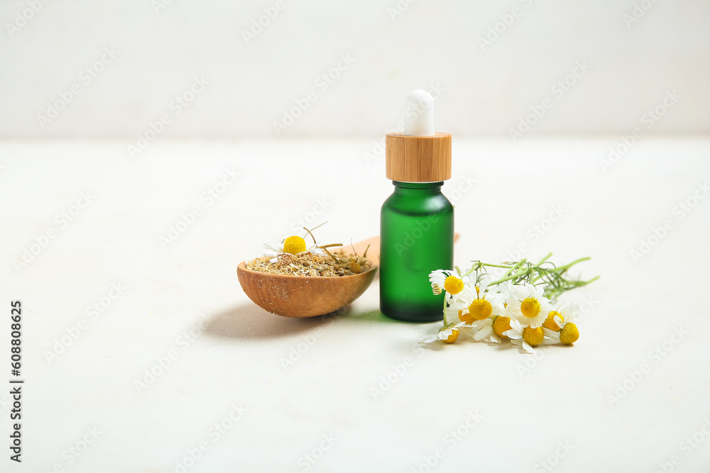 Bottle of essential oil, fresh and dried chamomile flowers on light background