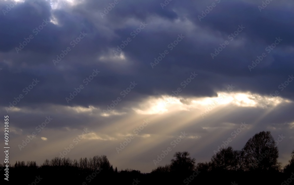 sunrays burst through dense clouds and fall upon forest