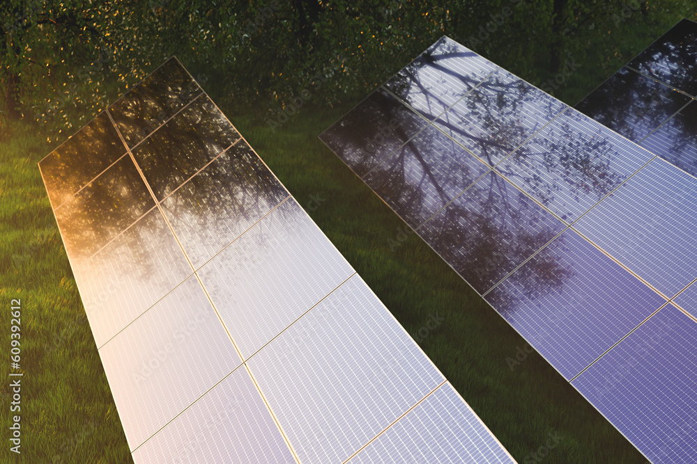 Solar panels in the fog among green trees in the forest at sunset