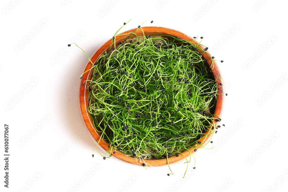 Bowl with fresh micro green on white background