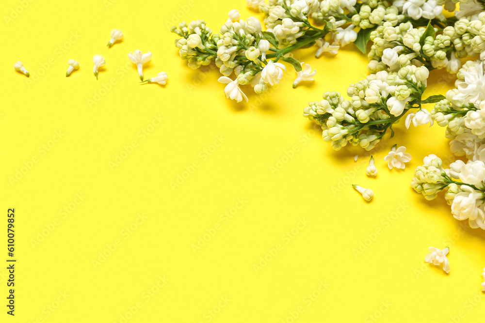 White lilac twigs on yellow background