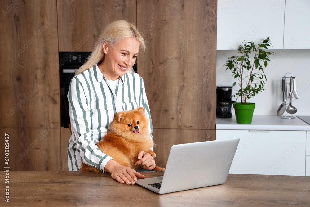 Mature woman with Pomeranian dog and laptop in kitchen