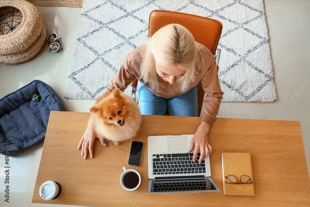 Mature woman with Pomeranian dog using laptop in office