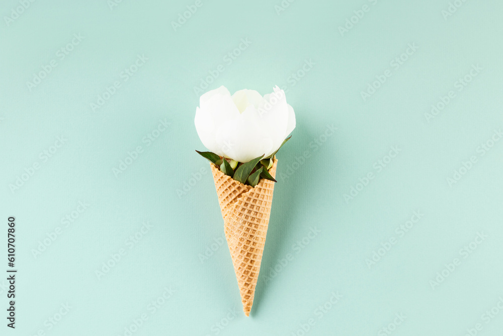 Flat-lay of waffle cone with peony flower over pastel light blue background, top view