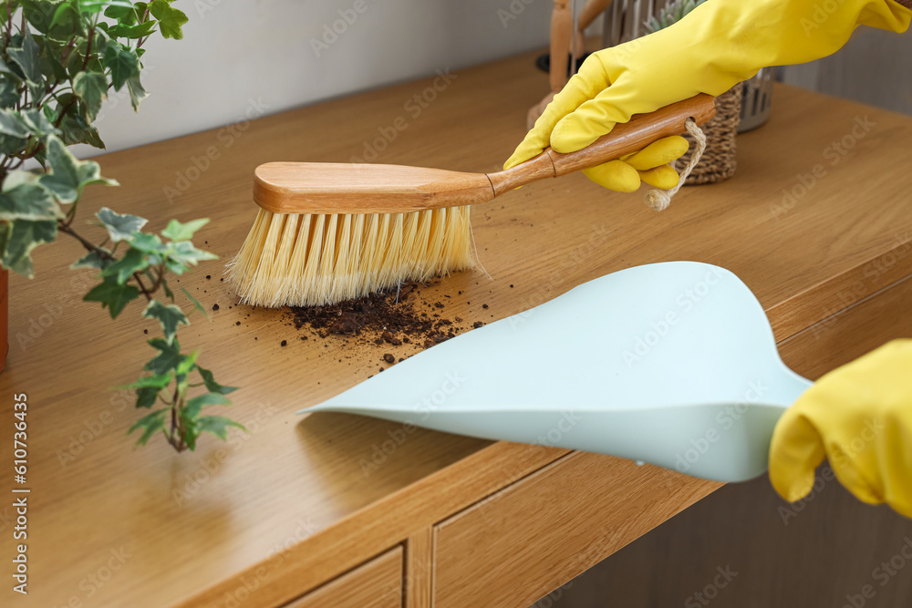 Housewife cleaning table with brush and dustpan at home, closeup