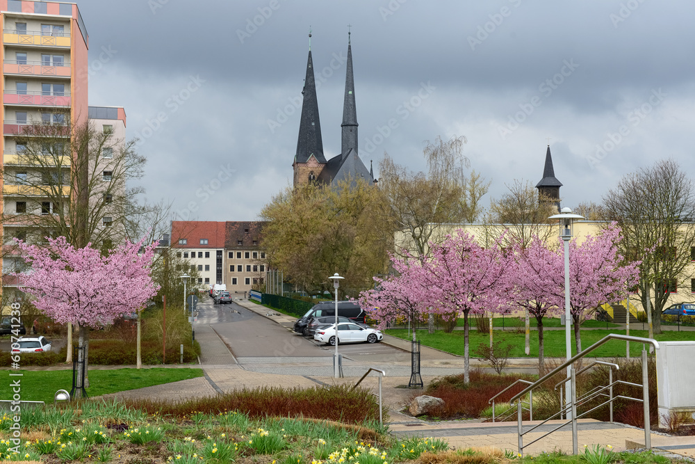 View of city street with blossoming trees on cloudy day