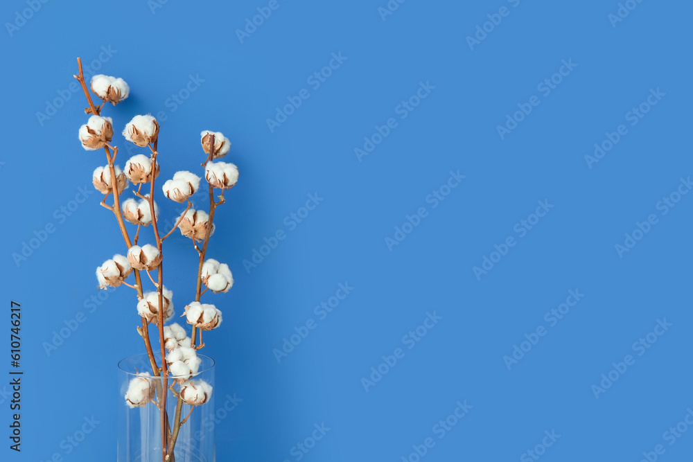 Vase of cotton sprigs on blue background