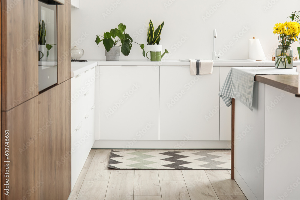 Interior of light kitchen with white counters and rug