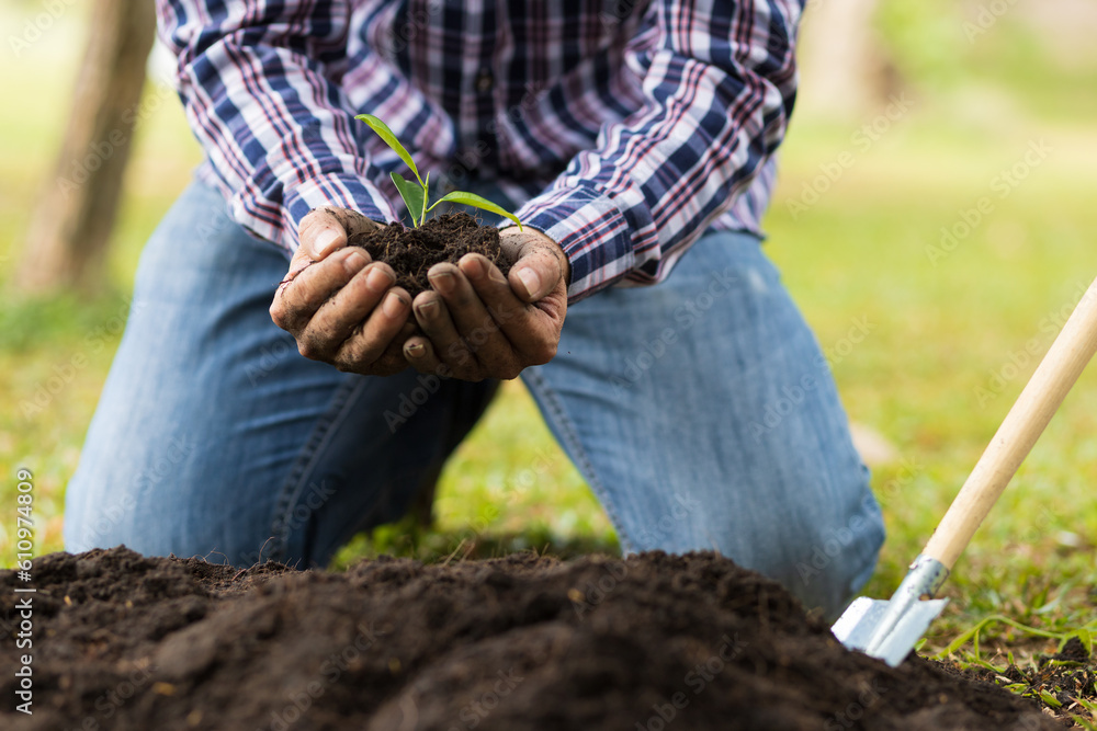 Farmers plant seedlings into fertile soil.