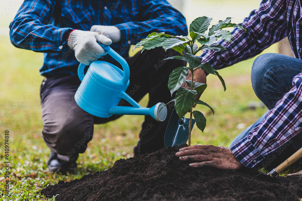 Farmers plant seedlings into fertile soil, nature care cooperation.