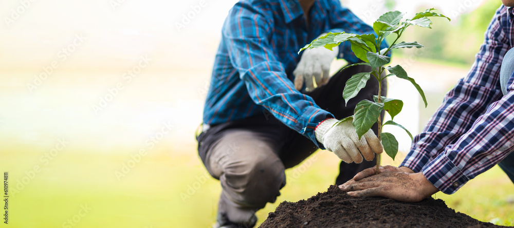 Farmers plant seedlings into fertile soil, nature care cooperation.