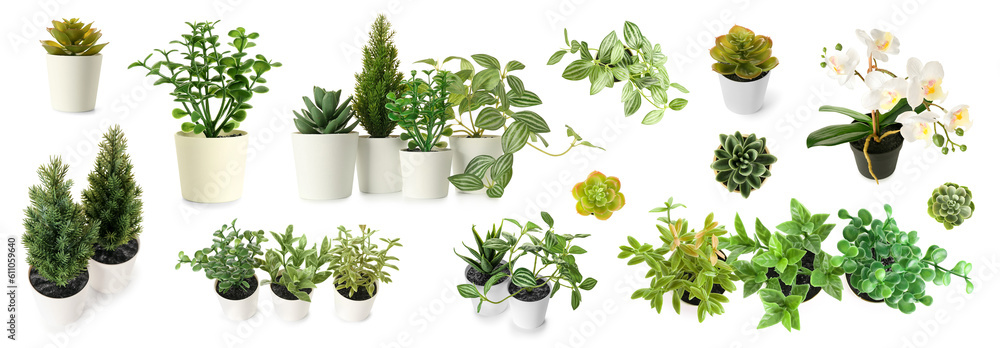 Set of artificial plants on white background