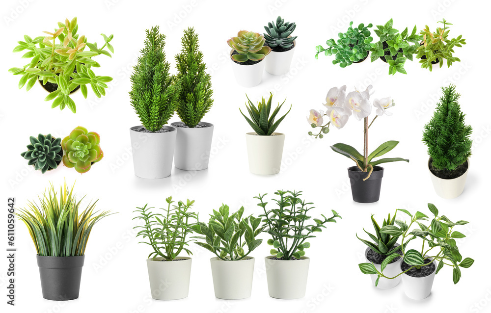 Set of artificial plants on white background