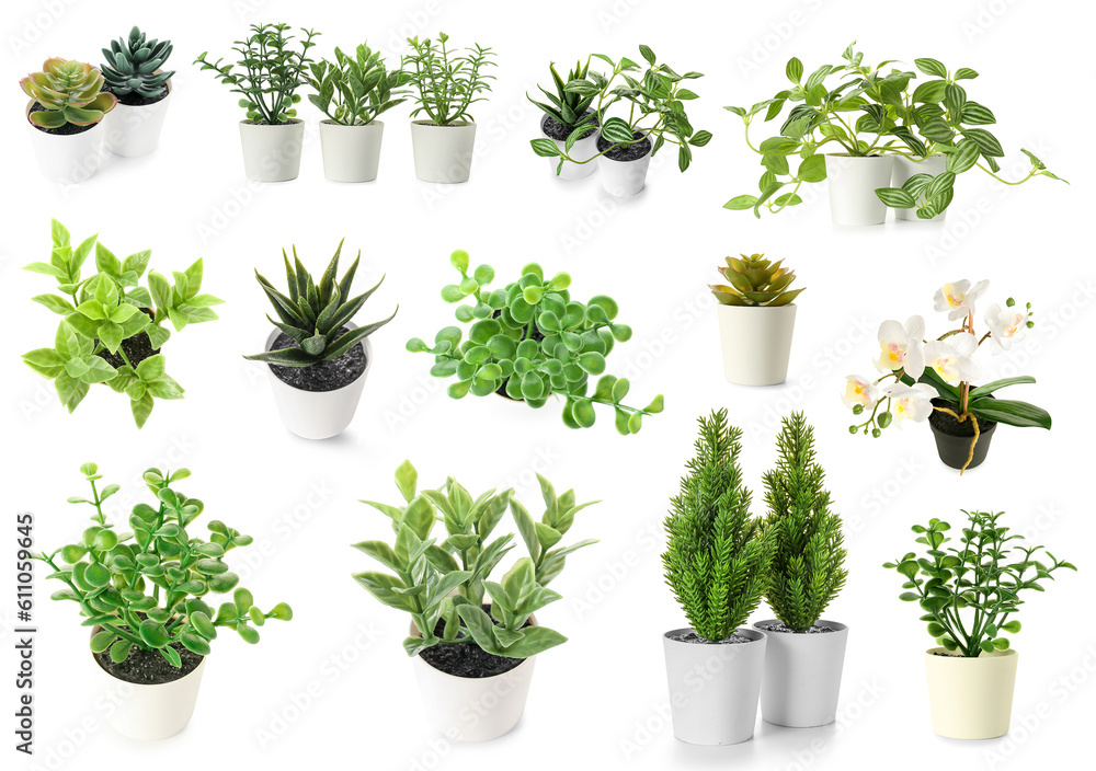 Set of artificial plants on white background