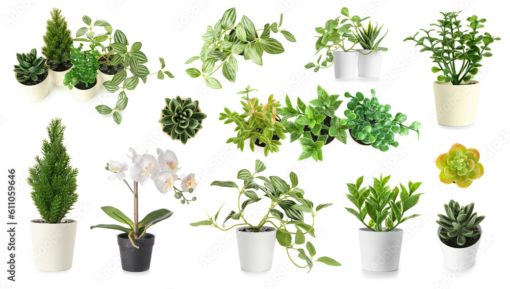 Set of artificial plants on white background