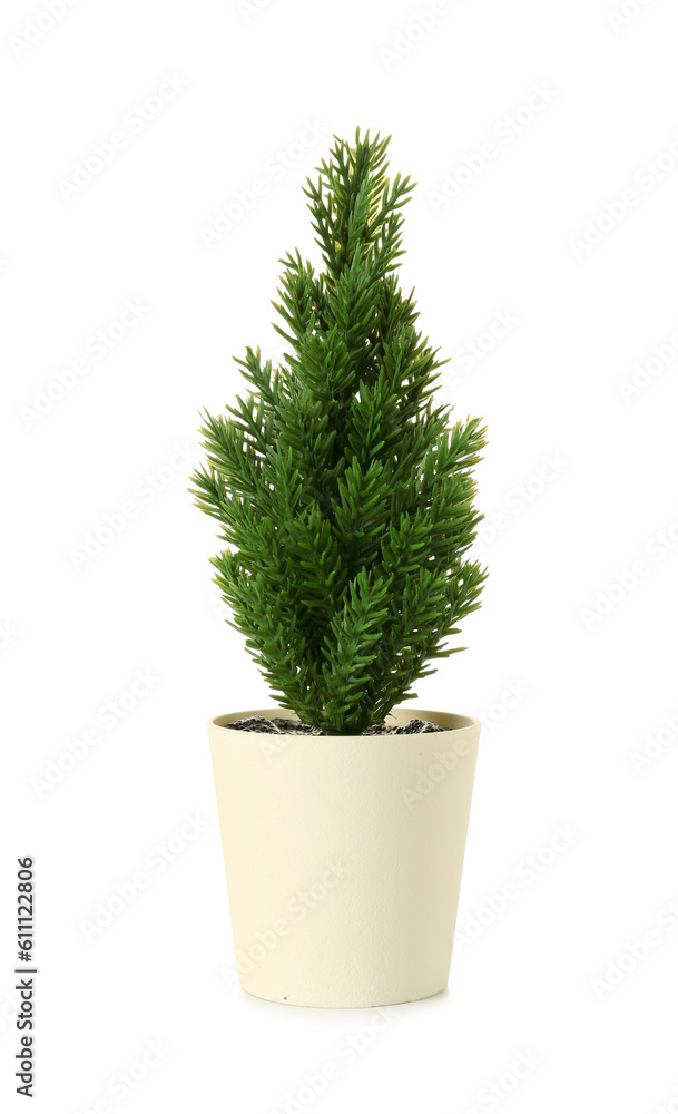 Artificial plant on white background