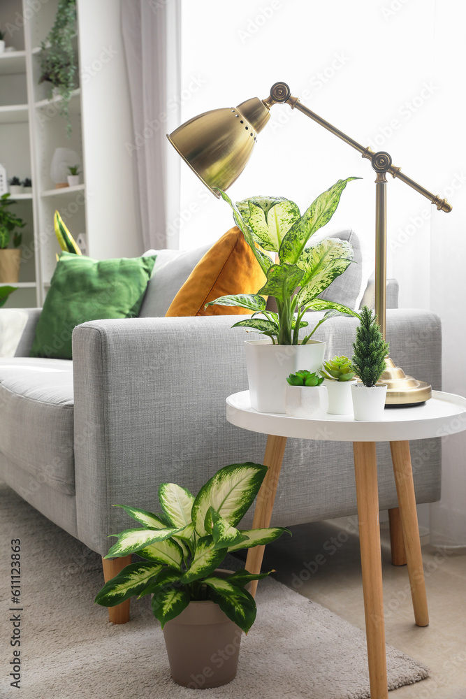 Lamp with green houseplants on table in living room