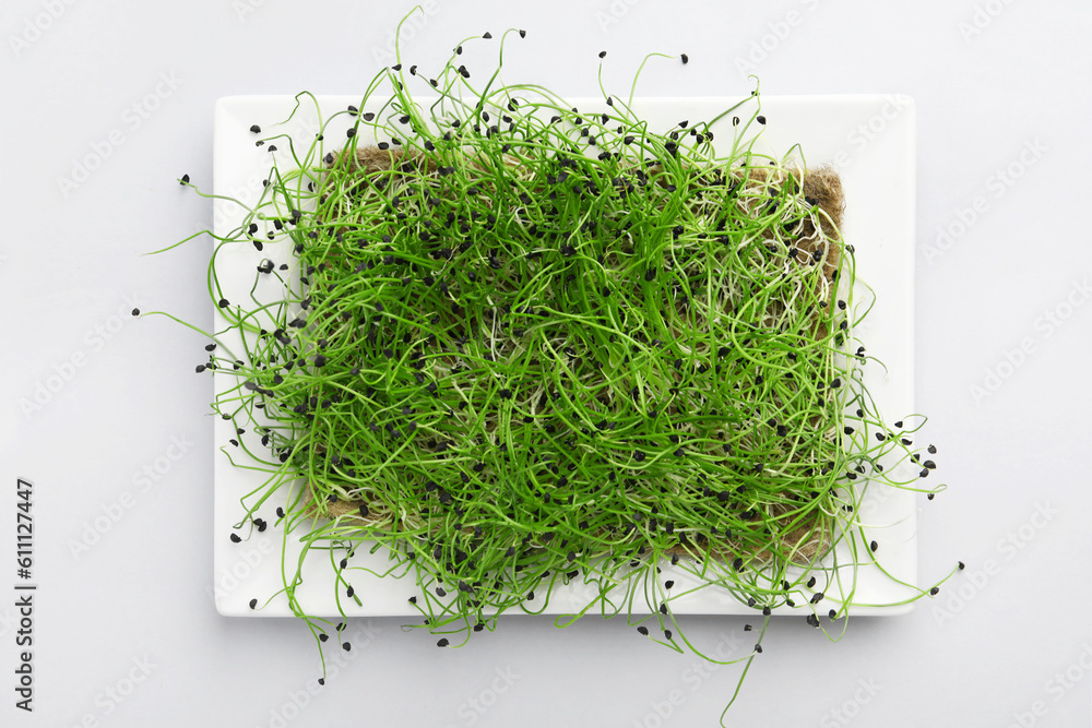 Plate with fresh micro green on light background