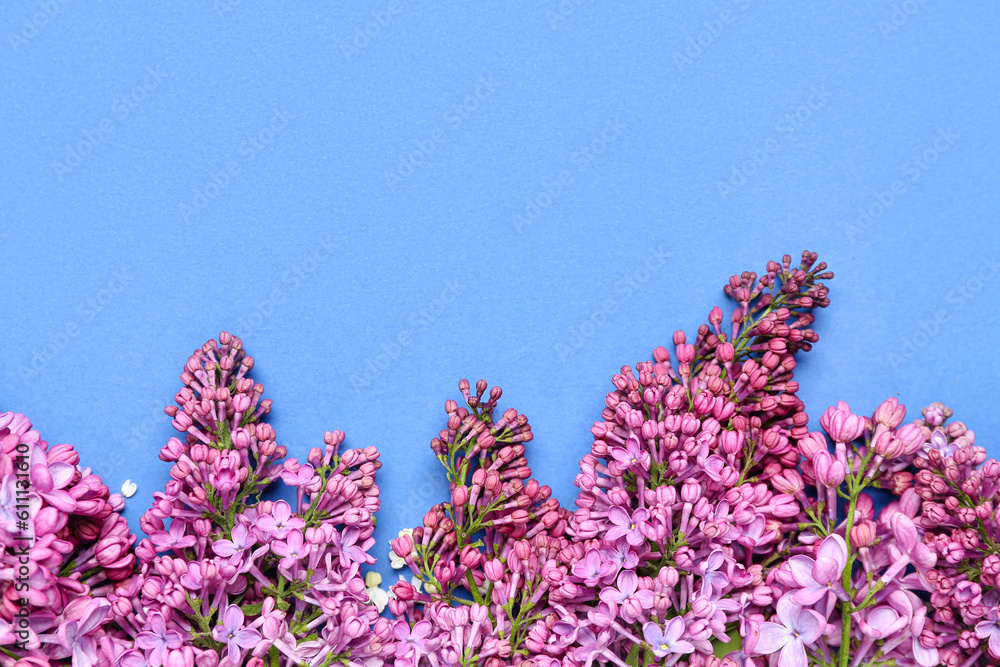 Lilac twigs on blue background