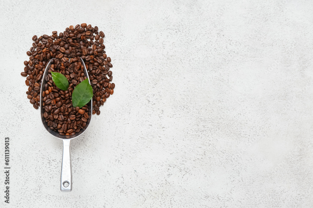 Scoop with coffee beans on light background