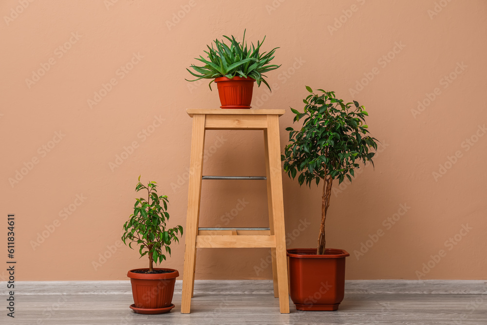 Wooden stool with potted houseplants near beige wall