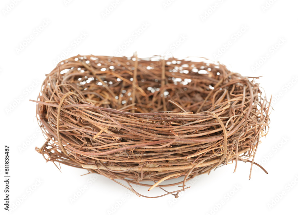 Empty nest isolated on white background