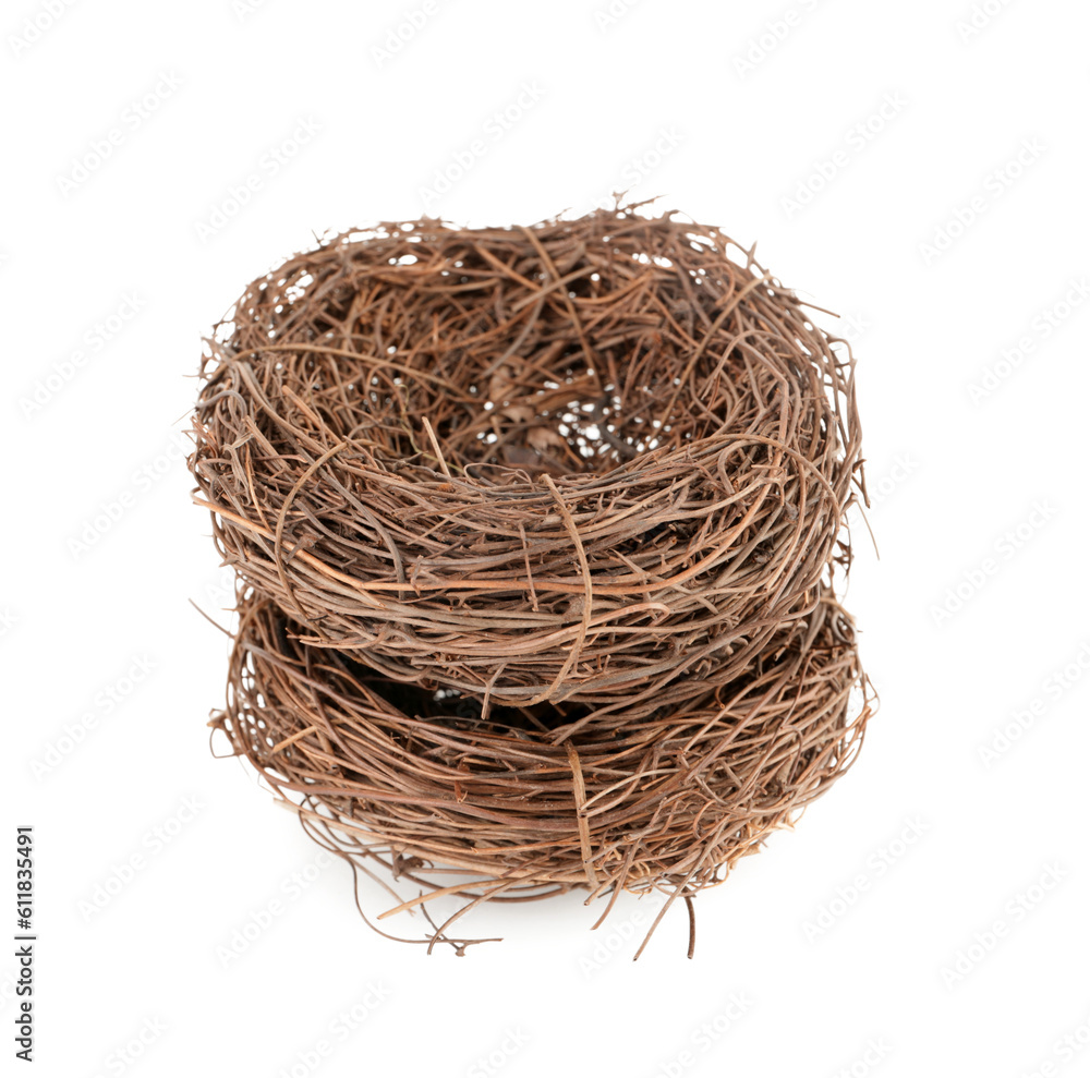 Empty nests isolated on white background