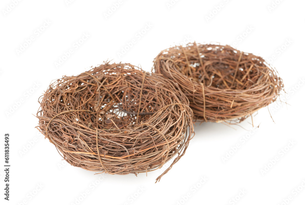 Empty nests isolated on white background