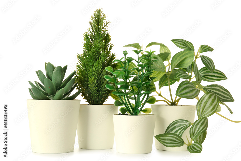 Artificial plants on white background