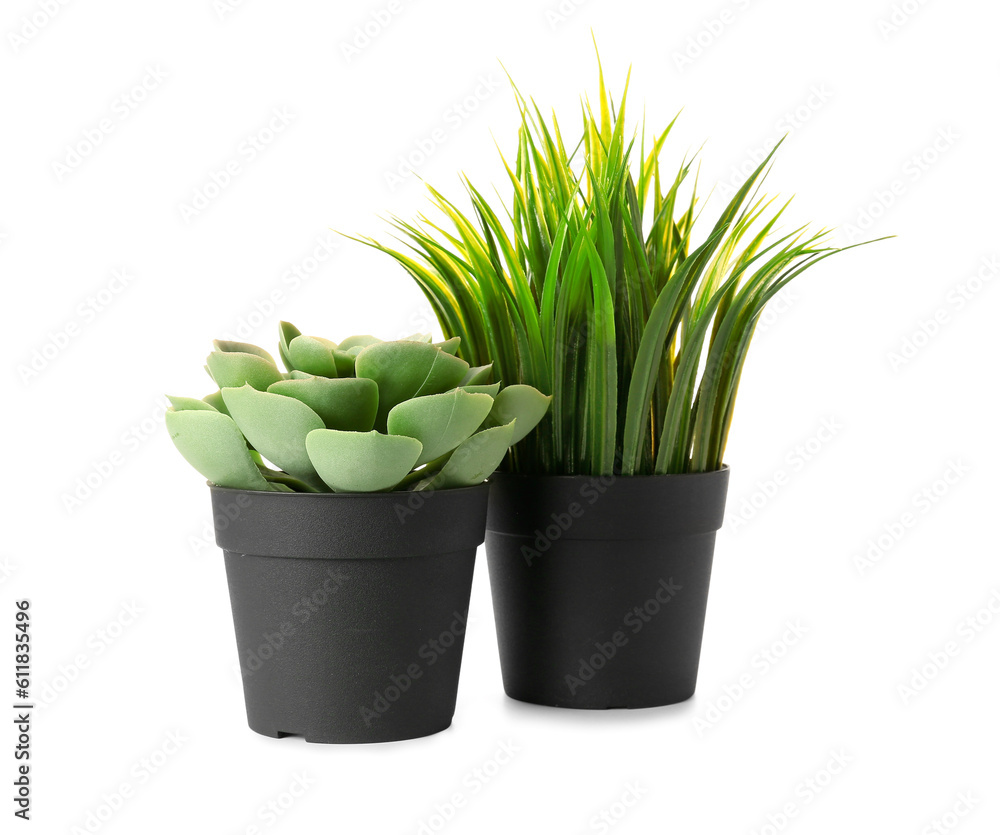 Artificial plants on white background