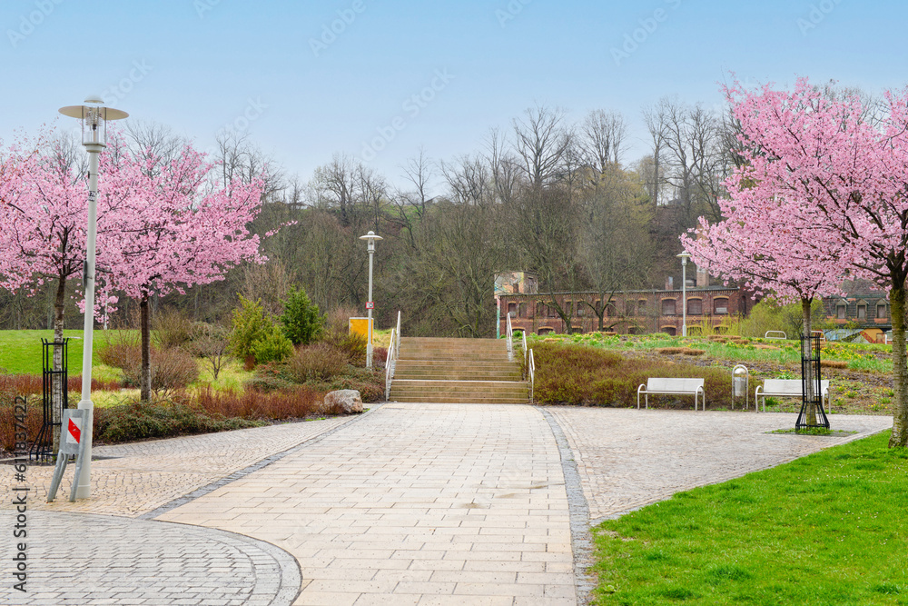 View of city park with benches, stairs and blossoming trees