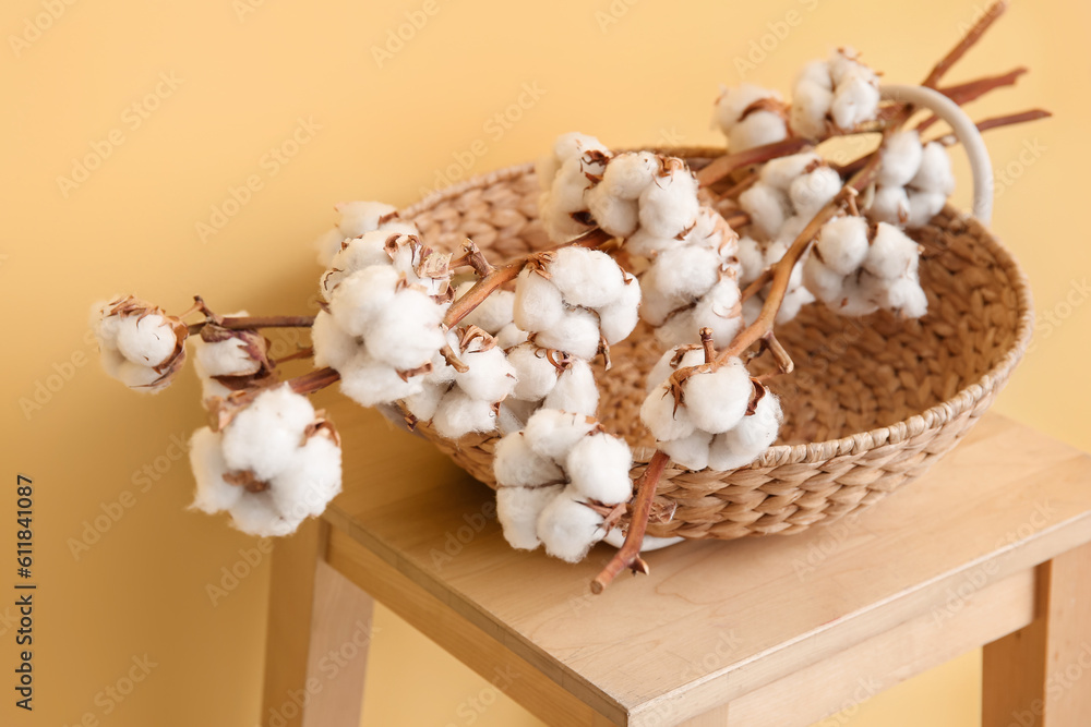 Basket of cotton sprigs on wooden stool near yellow wall