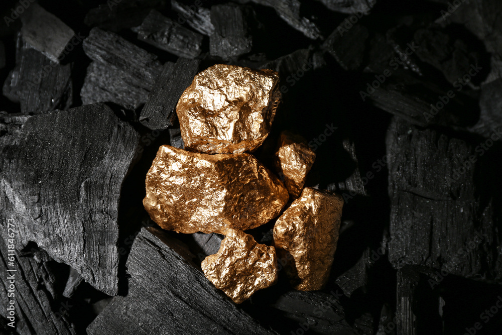 Golden nuggets on black charcoal