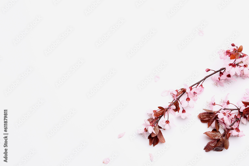 Blooming branches with pink flowers on white background