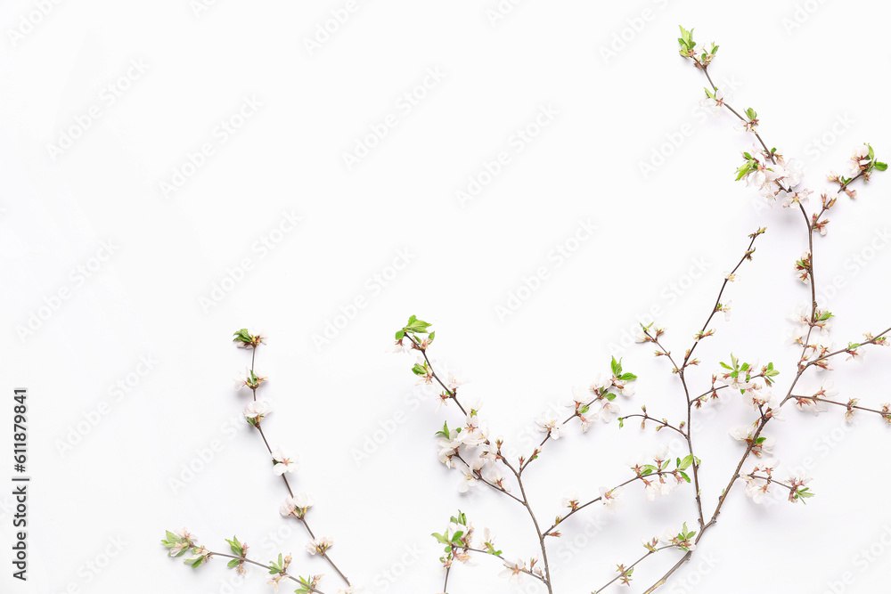 Blooming branches with flowers on white background