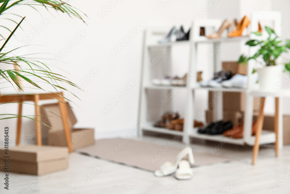 Stylish interior of shoe store