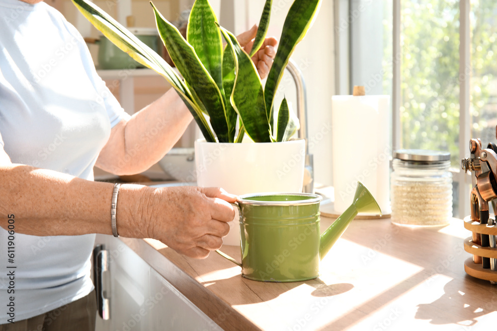 Senior woman with watering can in kitchen, closeup