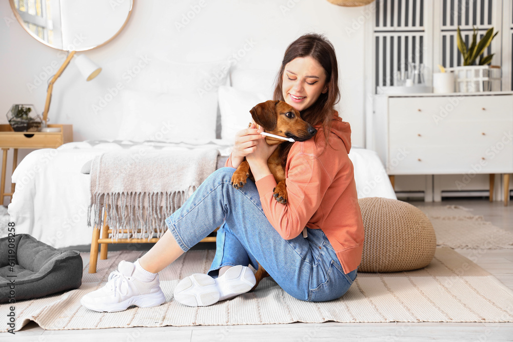 Young woman brushing teeth of her dachshund dog in bedroom