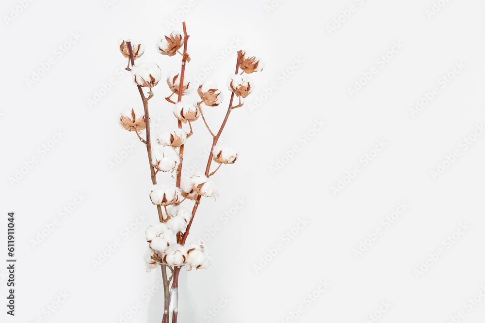 Vase of cotton sprigs on white background