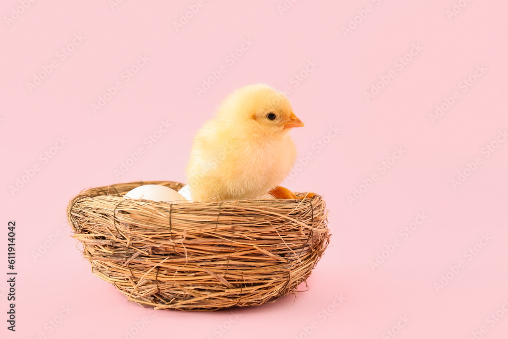 Nest with eggs and cute little chick on pink background