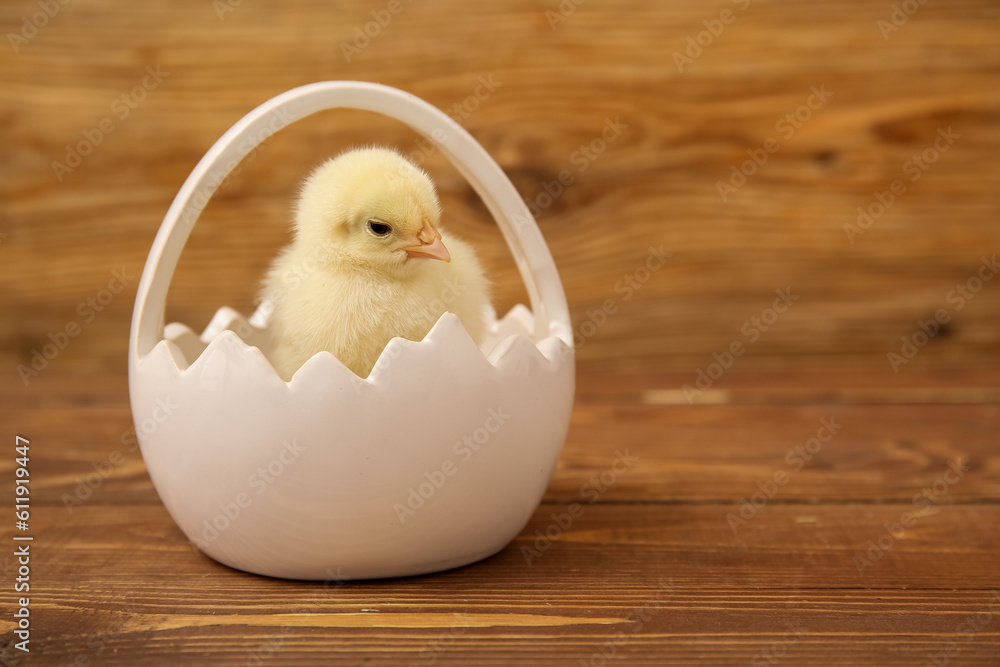 Basket with cute little chick on wooden background