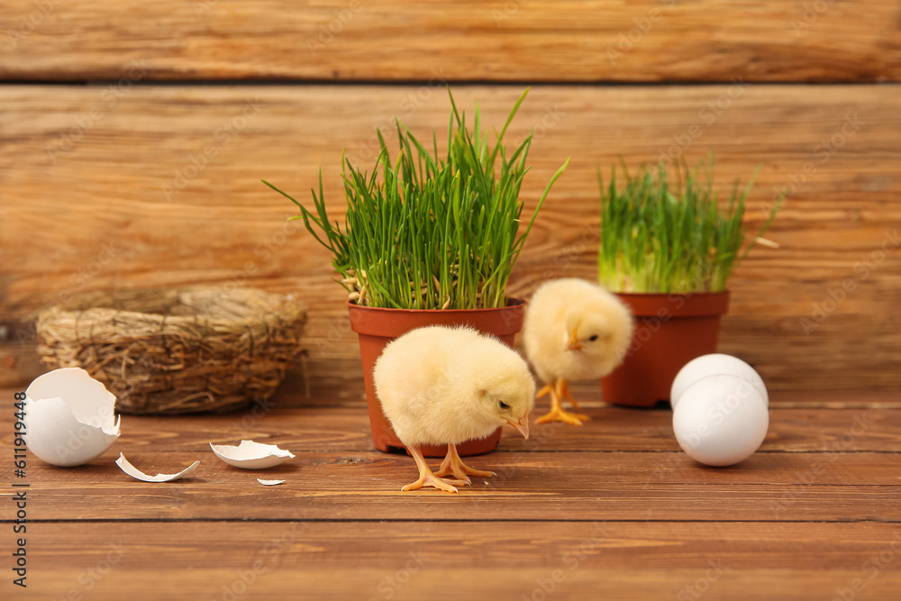 Nest with cute little chicks and grass in pots on wooden background