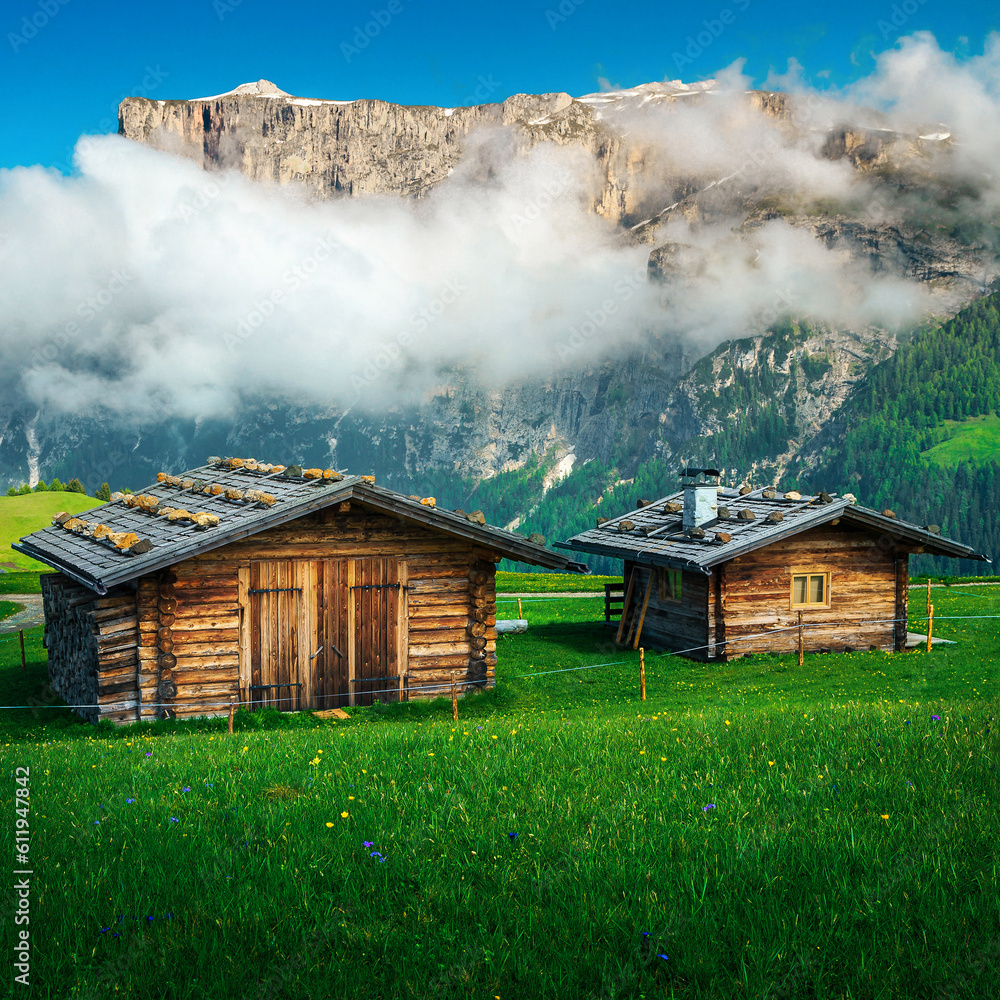 Wooden huts on the flowery slope in Dolomites, Italy