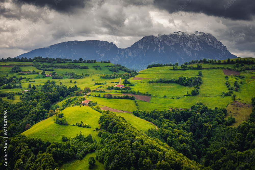 Agricultural farmlands and green fields on the hills, Holbav, Romania