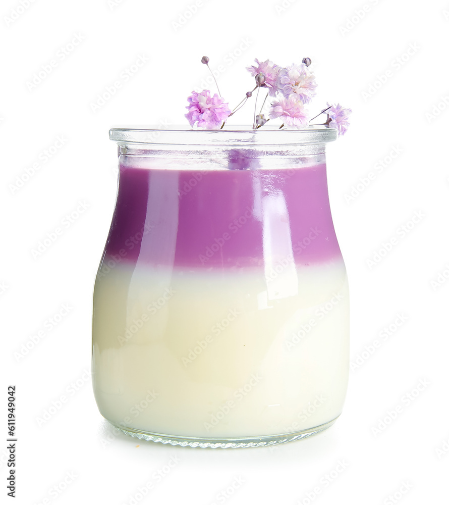 Glass of panna cotta with beautiful gypsophila flowers on white background