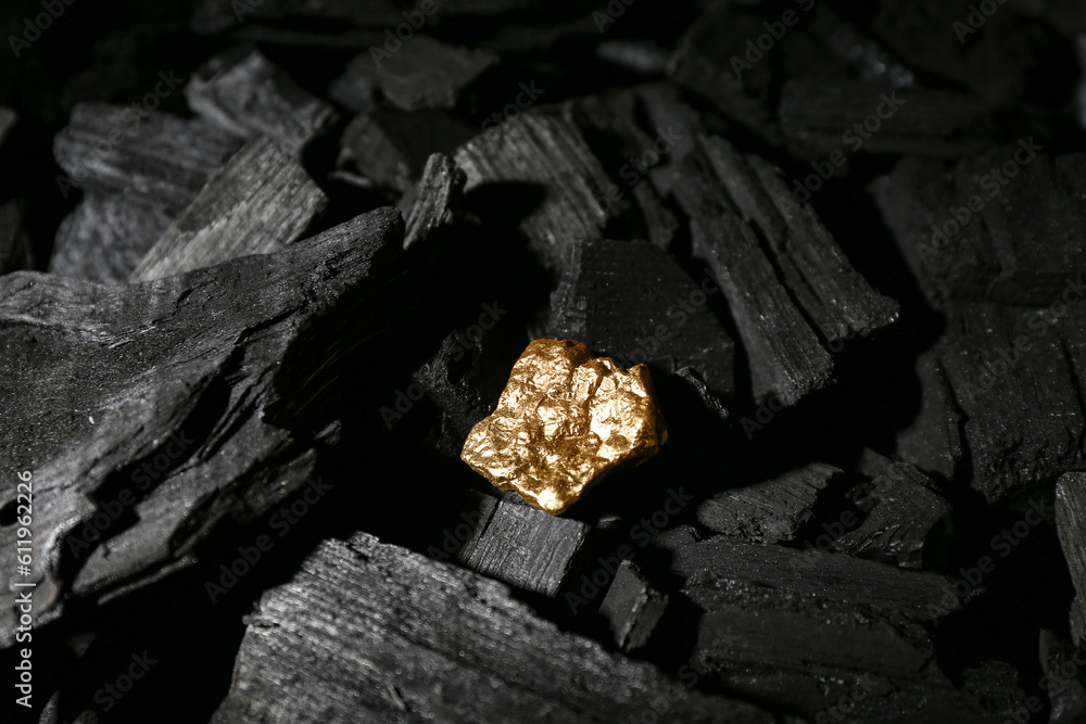 Golden nugget on black charcoal