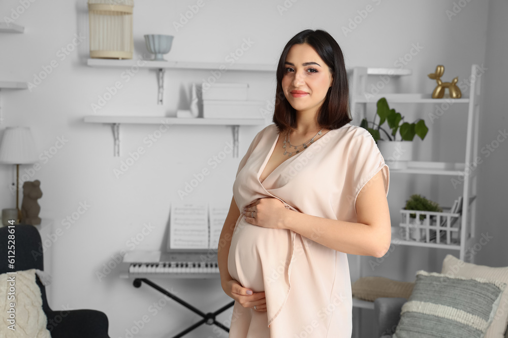 Young pregnant woman at home