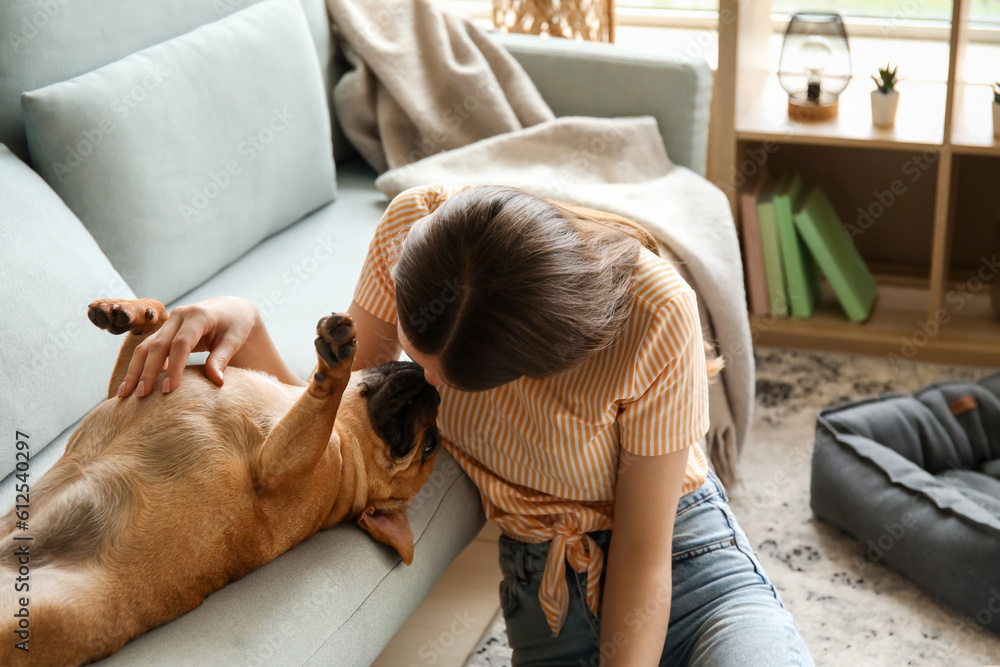 Young woman with cute French bulldog at home