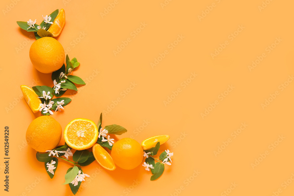 Oranges with blooming branches on color background