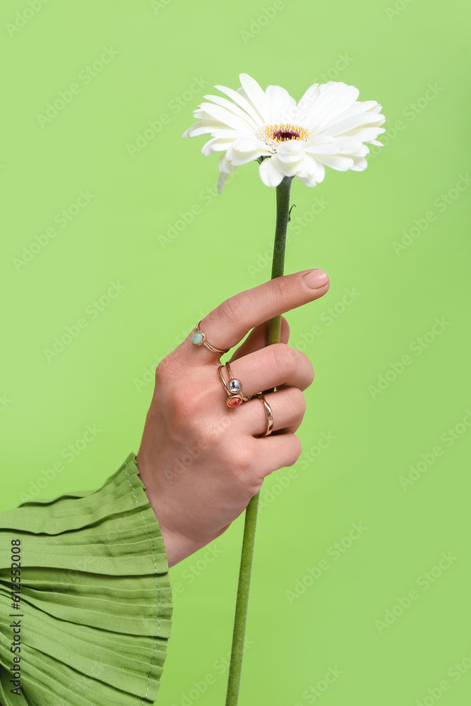 Hand of young woman wearing stylish rings with chrysanthemum near green wall